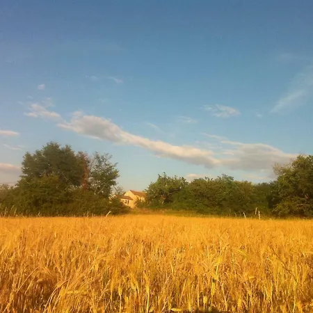 Tenuta Paljari Holiday home *